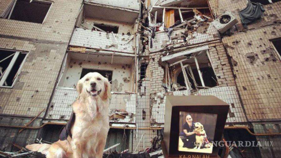 $!Fue la perrita Nalah, quien murió el pasado 24 de marzo, según informó su manejadora Janette Ficachi