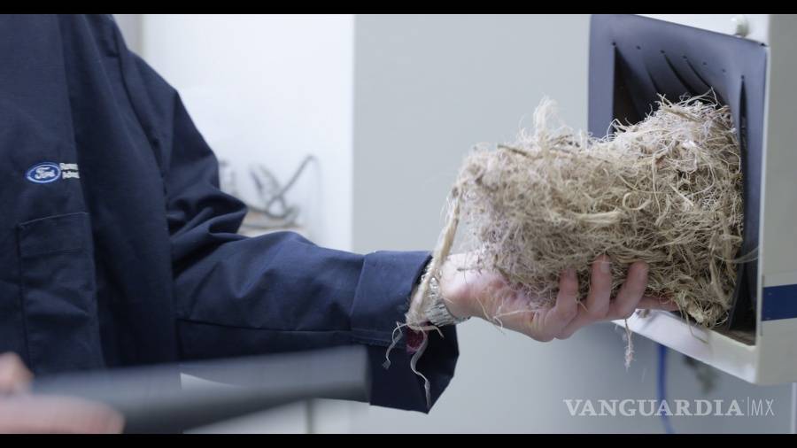 $!Futuro con sabor a tequila