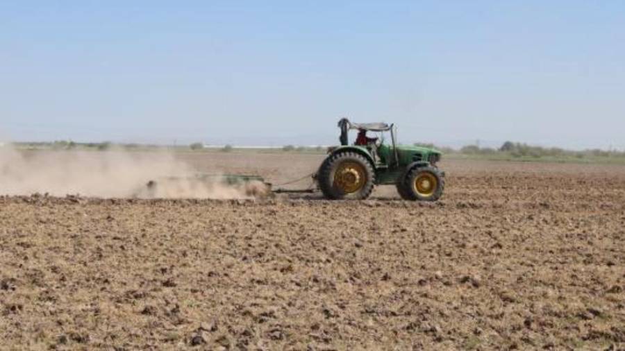 Agricultores de Coahuila advierten afectaciones en cultivos ante la discusión sobre el pago de agua a Estados Unidos.