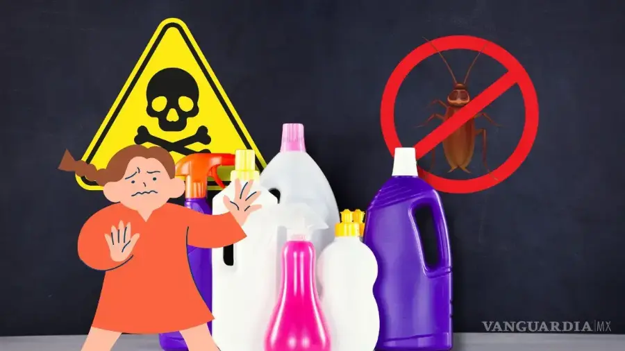 Durante la temporada de lluvias, la aparición de cucarachas dentro del hogar se vuelve un problema común, además de los habituales encharcamientos o afectaciones viales.