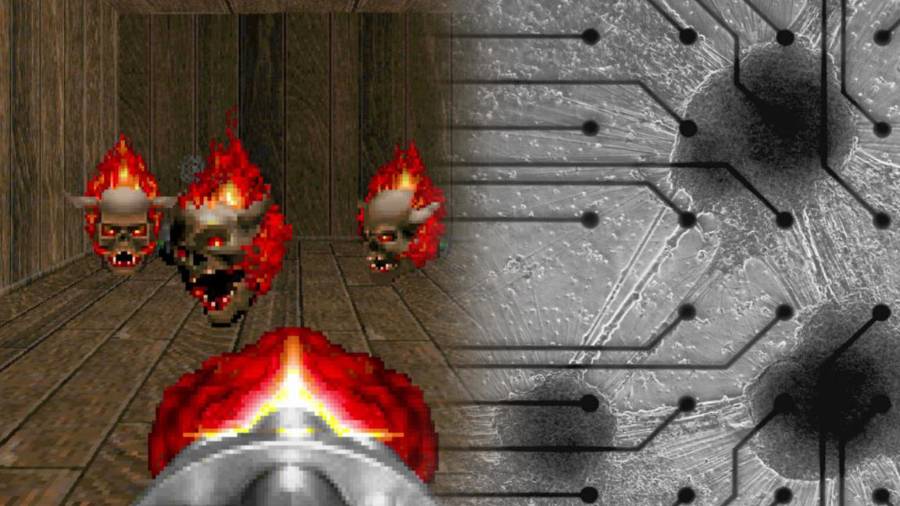 Una innovadora computadora biológica desarrollada por la empresa Cortical Labs logró que neuronas humanas cultivadas en laboratorio aprendieran a jugar el videojuego Doom.