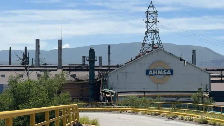 El senador Gabriel Elizondo Pérez anunció que la próxima semana presentará un punto de acuerdo para exigir claridad en el proceso de venta de la siderúrgica.
