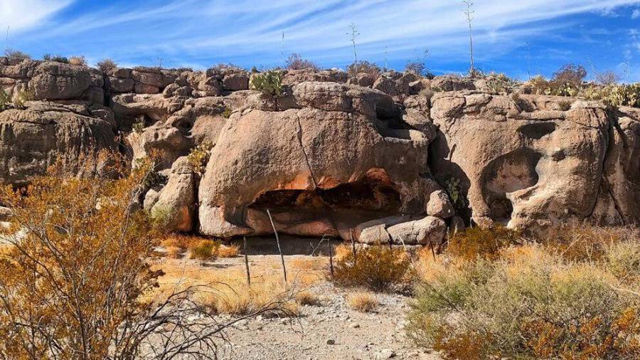 La cueva saqueada se ubica en la cañada de La Lagartija, a unos 67 kilómetros de la cabecera municipal.