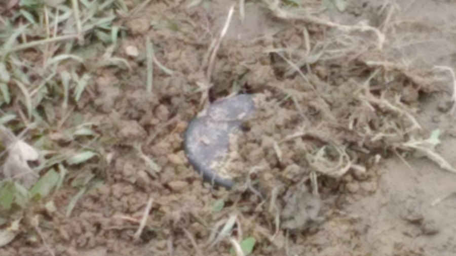 Una persona murió tras presuntamente activar un artefacto explosivo en un rancho de Doctor Coss; peritos analizan la escena