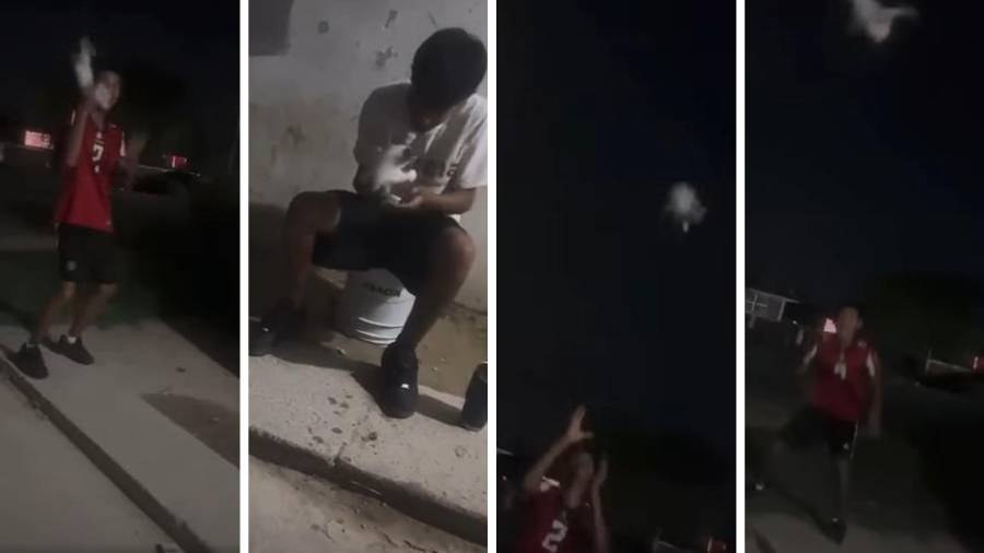 La grabación difundida en plataformas digitales muestra a un felino de color blanco con gris siendo arrojado entre jóvenes, mientras ciudadanos expresaron preocupación por su estado de salud.