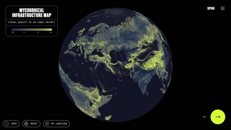 En la imagen el mapa global de la densidad de hifas de hongos micorrícicos arbusculares.