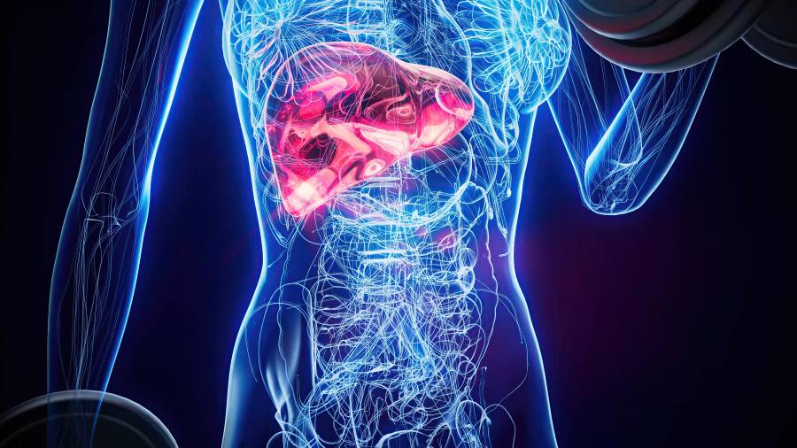 Tras cuatro décadas de intentos fallidos, la comunidad médica logra descifrar el mecanismo para bloquear la mutación KRAS, considerada “intratable” desde 1982.