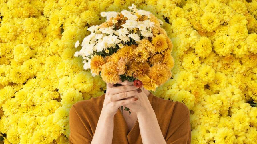Las flores amarillas se regalan cada 21 de septiembre como símbolo de amor, amistad, esperanza y nuevos comienzos.