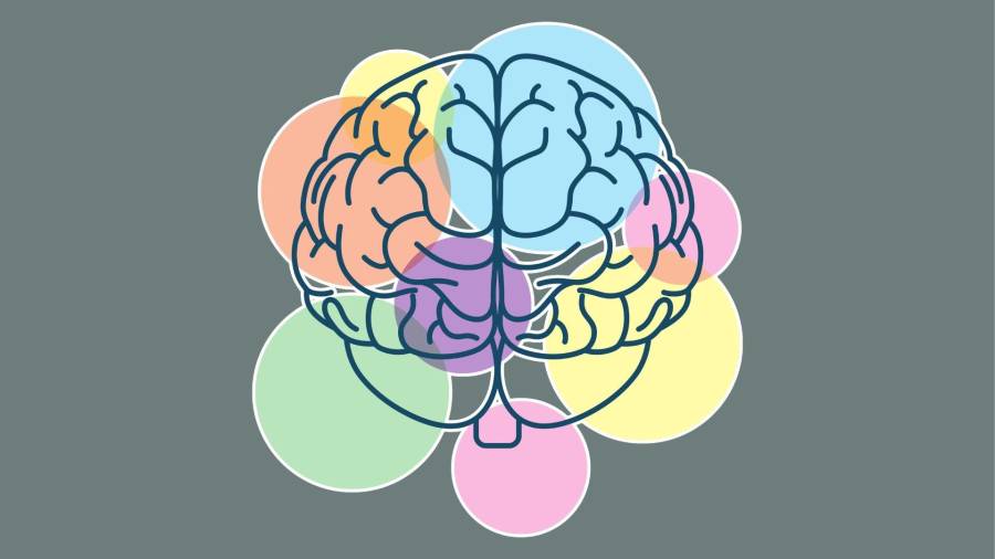 Medicamentos basados en incretinas, como la tirzepatida, intervienen en mecanismos cerebrales complejos para reducir el apetito y regular el metabolismo.