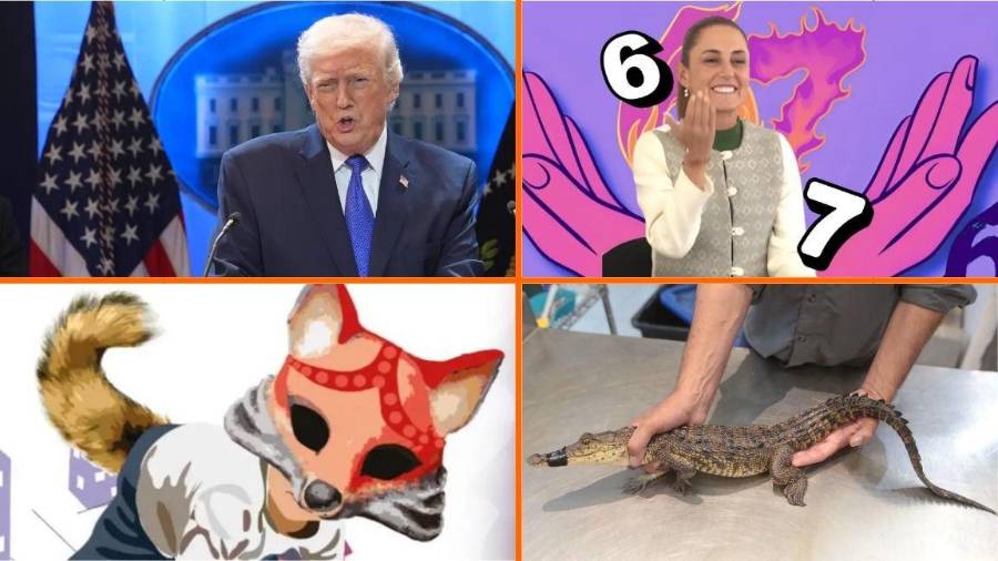 Trump anuncia arancel global de 10% adicional a los existentes, tras fallo de la Corte: Según el mandatario, los países que “han estado estafando” a Estados Unidos “durante años están eufóricos” tras el dictamen.