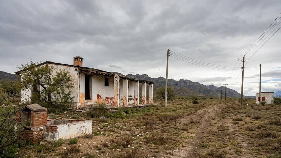 Dignidad Animal proyecta un santuario y villa recreativa en Ramos Arizpe con capacidad para 350 perros, áreas de rehabilitación y espacios para fomentar la adopción responsable.