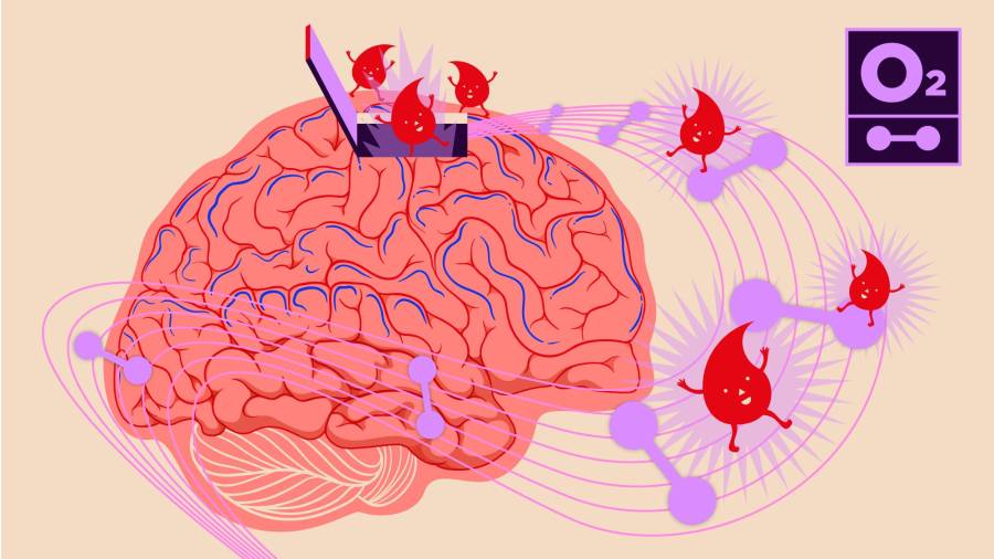 El flujo sanguíneo hacia el cerebro es muy importante, pero hay distintos factores que pueden afectar este proceso vital.