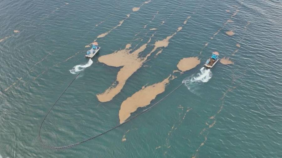 QUINTANA ROO, 08SEPTIEMBRE2026.- La estrategia de la Secretaría de Marina para atender el arribo de sargazo comienza mar adentro. Mediante monitoreo satelital, barreras de contención y unidades especializadas, se busca anticipar su trayectoria, concentrarlo y recolectarlo mientras aún se encuentra vivo, antes de que alcance las costas del Caribe mexicano. La SEMAR mantiene desplegados 11 buques sargaceros costeros, con capacidad de recolección de 20 toneladas cada uno; un buque sargacero oceánico; dos sargaceras anfibias; 18 embarcaciones menores, y 13 mil 230 metros de barreras de contención. Las acciones se llevan a cabo en Isla Mujeres, Benito Juárez, Puerto Morelos, Playa del Carmen, Cozumel, Tulum y Othón P. Blanco. En estos dos últimos municipios se han identificado los mayores arribos de intensidad moderada durante el presente año. FOTO: CORTESÍA SEMAR/CUARTOSCURO.COM