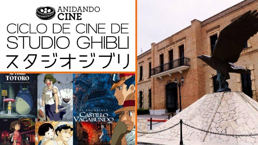 La oferta cultural del MUSAVE ha sido clave para el fomento educativo sobre el conocimiento de las aves de todo el mundo.