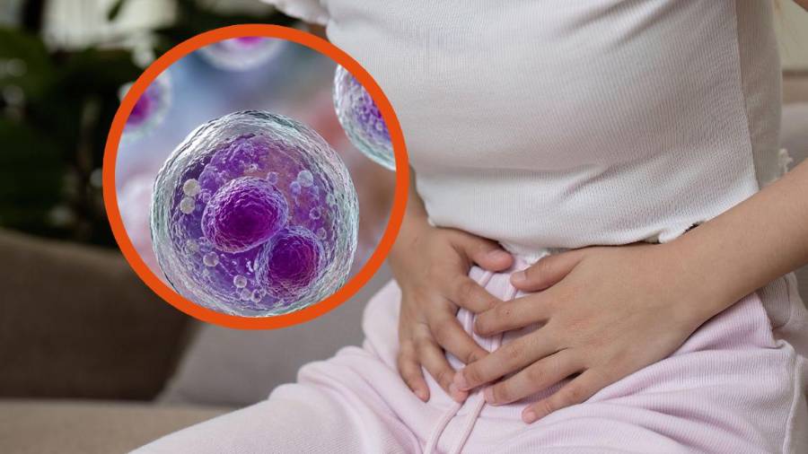 El aumento de casos de ciclosporiasis en Estados Unidos mantiene bajo vigilancia a las autoridades sanitarias.