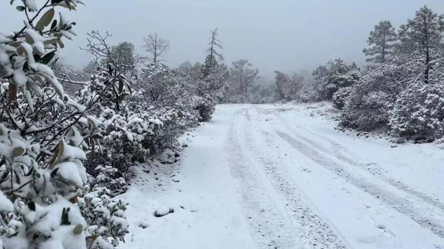 Se mantendrán condiciones para la caída de nieve o aguanieve en las sierras de Sonora, Chihuahua Y Baja California.