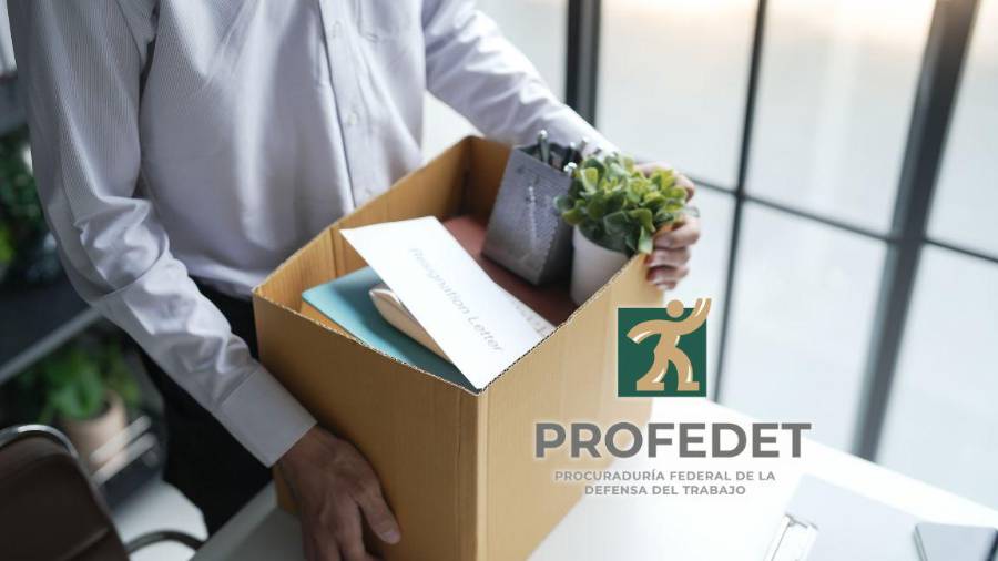 La legislación laboral establece aviso por escrito, finiquito o indemnización según el caso; trabajadores pueden recibir asesoría gratuita para defender sus derechos.