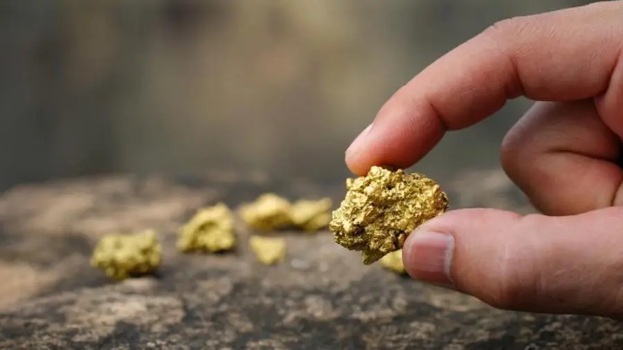 Conoce las reglas del Código Civil Federal y la Ley Minera sobre el hallazgo de oro en terrenos privados