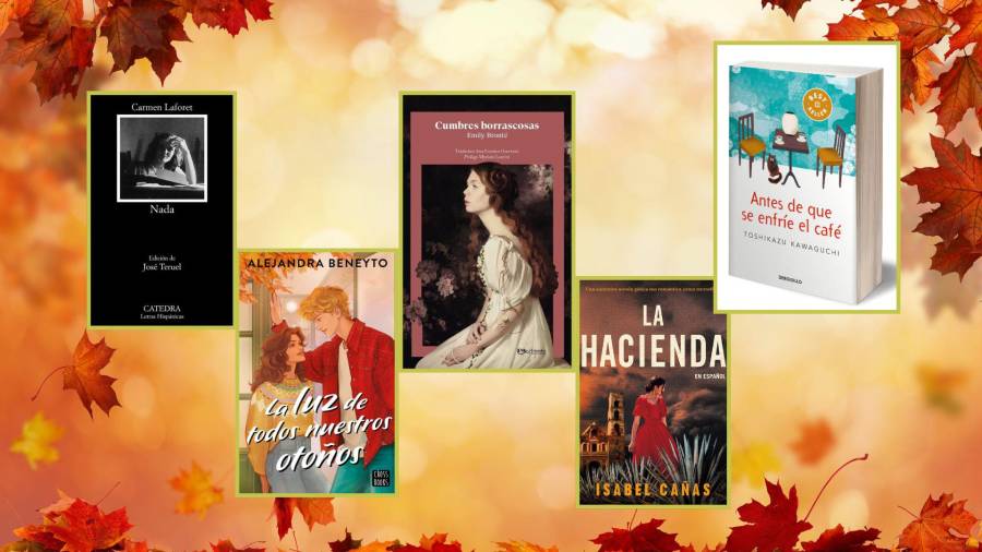 Amazon se caracteriza por tener una amplia gama de literatura a precios totalmente accesibles.