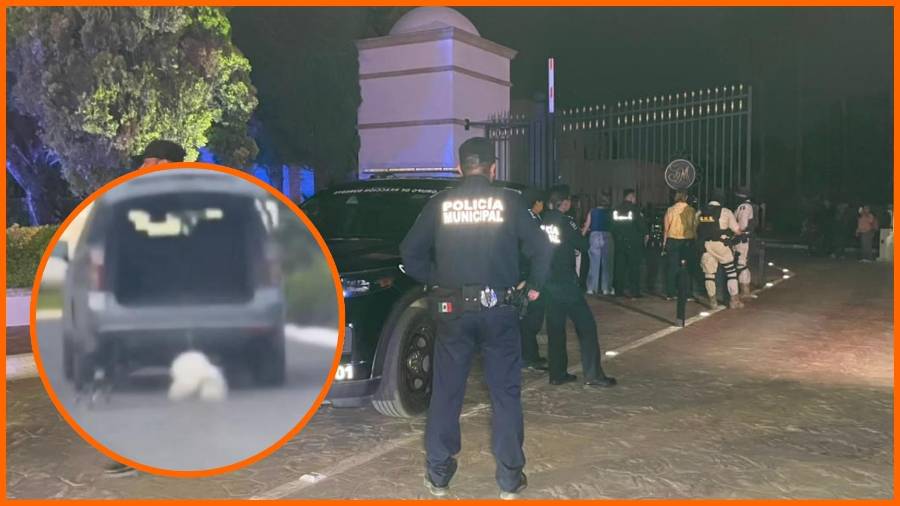 POLITICÓN: Caso Rocky Saltillo, ¿maltrato animal o accidente?