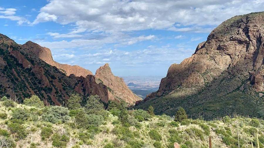 El Parque Nacional Big Bend abarca 324 mil 153 hectáreas a lo largo de la frontera internacional con México y es la mayor porción protegida del desierto de Chihuahua en Estados Unidos.