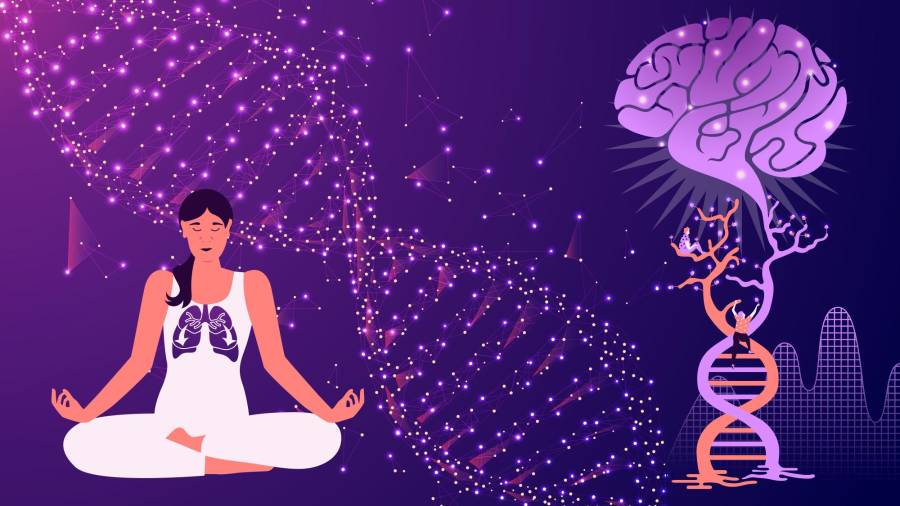 Hay muchas afectaciones a nuestra salud que están escritas en nuestros genes, pero de las cuales nos podemos proteger.