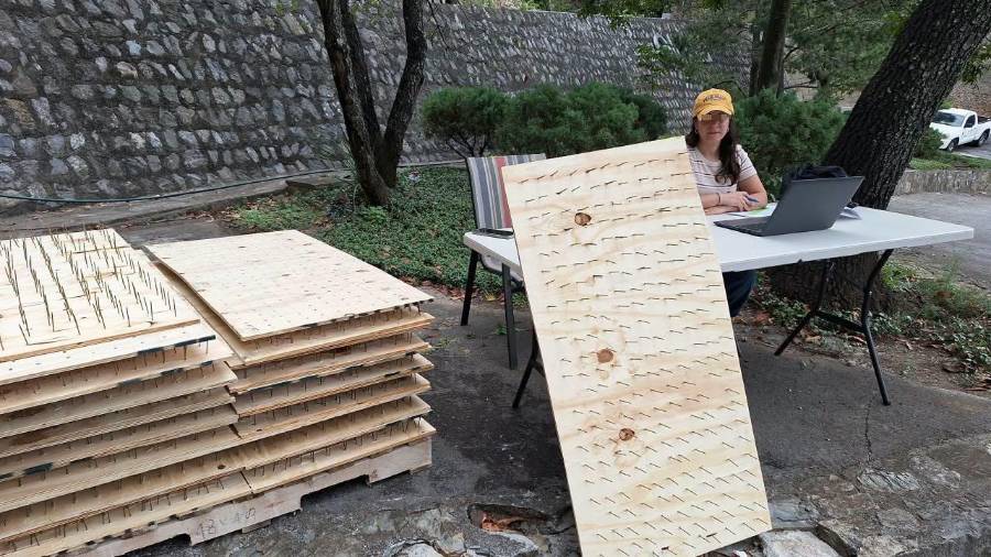Vecinos de Olinalá colocaron tablas con clavos para evitar el ingreso de osos a viviendas de San Pedro Garza García.