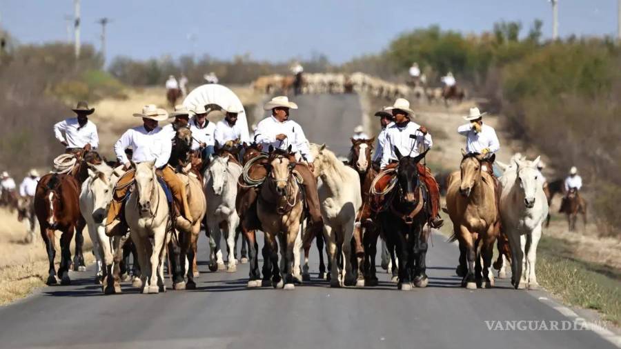 La arreada de ganado en Múzquiz es el proyecto con el que el municipio compite en la categoría de Mejor Producto Turístico.