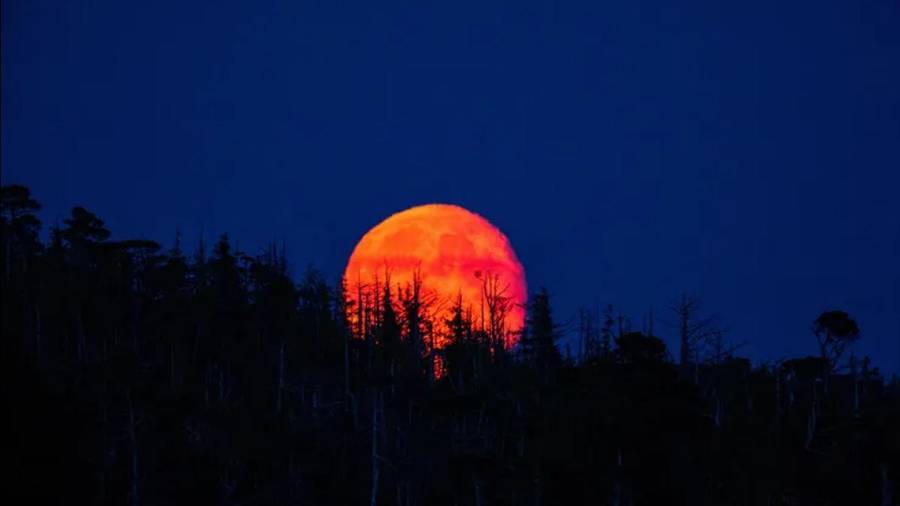 Un eclipse lunar total teñirá la Luna de rojo durante la madrugada del 3 de marzo de 2026. El fenómeno será visible en todo México sin necesidad de equipo especial