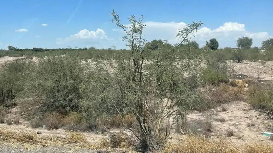 Gobierno de México expropia 14 hectáreas en Coahuila para regularizar asentamientos y entregar certeza jurídica a sus habitantes.