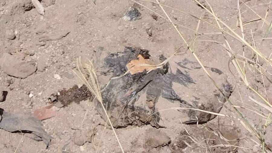 Encuentran bolsas de basura con restos humanos en predio de Jalisco