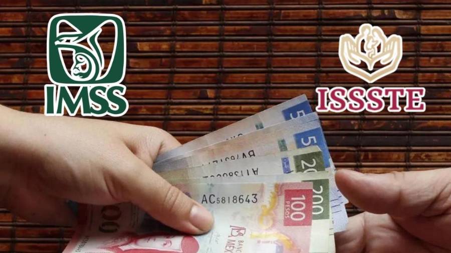 La SCJN elimina el requisito de 5 años en concubinato para pensión del ISSSTE y fija nuevos criterios. Conoce requisitos del IMSS y reglas clave en 2026.