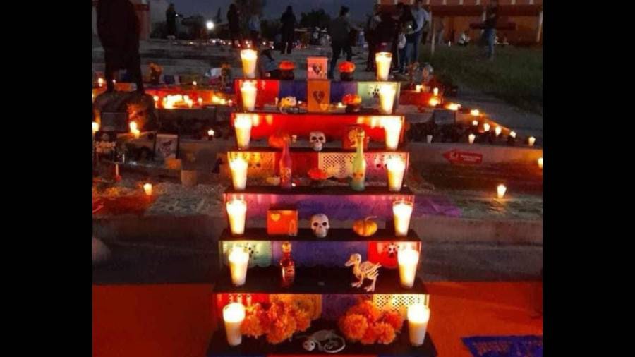 El altar, decorado con flores de cempasúchil y elementos tradicionales, se ha convirtió en un hermoso homenaje a los animales que han partido.