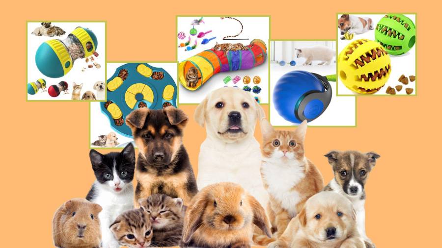 Descubre los mejores juguetes para divertir a tus mascotas.