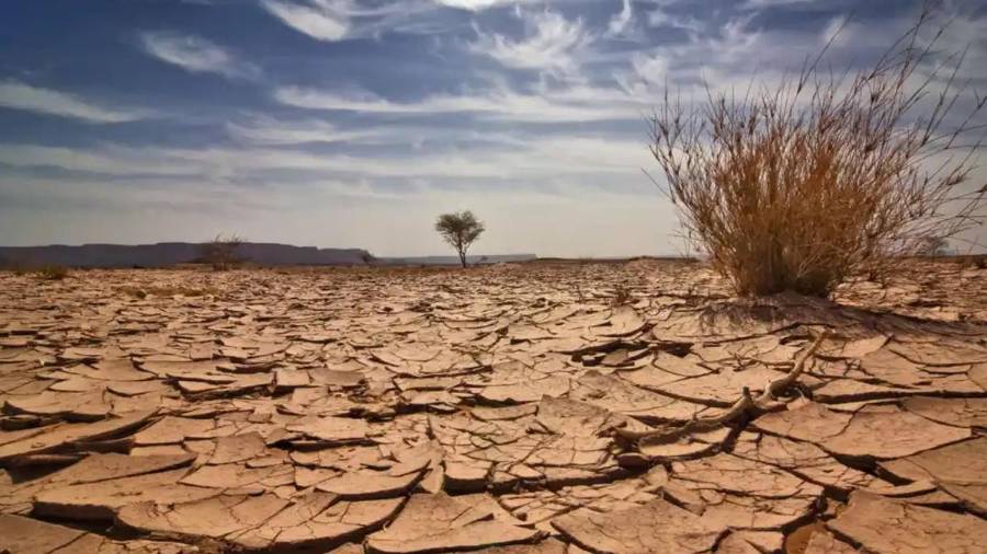 El ritmo de consumo humano ya superó la capacidad de regeneración del planeta. Este desequilibrio compromete el agua y los alimentos, impulsando al sistema financiero hacia un terreno frágil.
