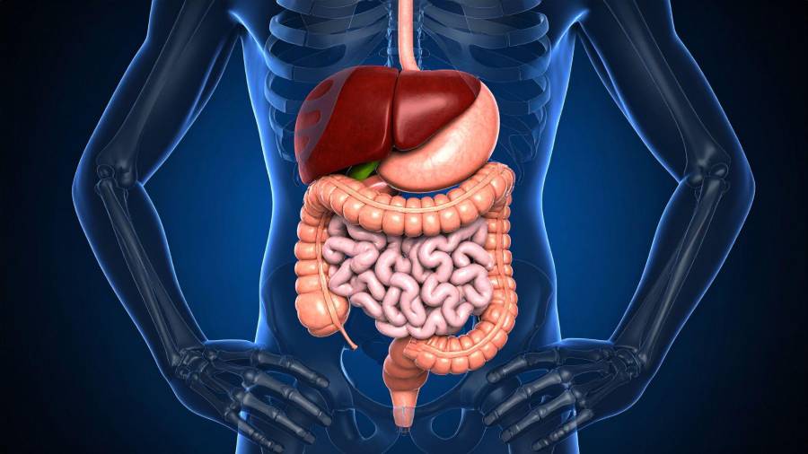 En temporada de calor y vacaciones, el consumo de bebidas refrescantes y alcohólicas suele aumentar