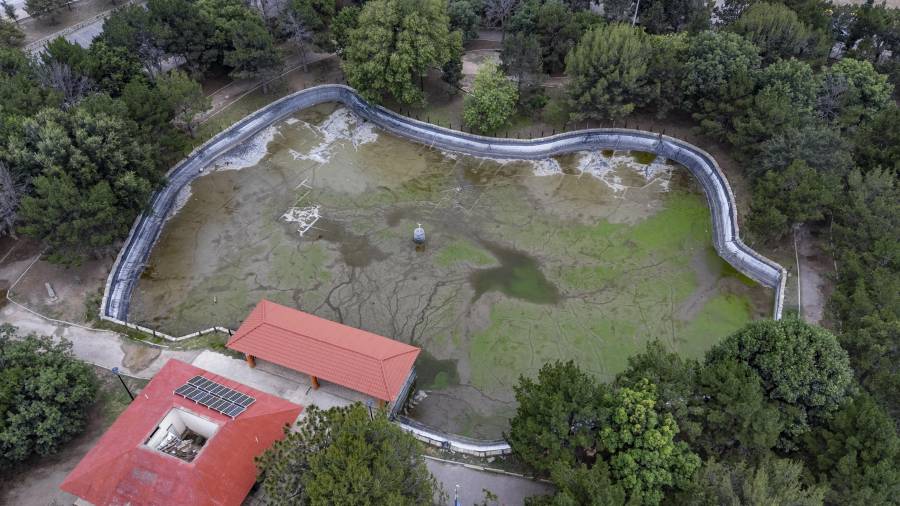 El Bosque Urbano Ejército Mexicano mantiene en revisión un proyecto integral para restaurar y reforestar su emblemático laberinto vegetal, deteriorado tras problemas en el sistema del lago artificial.