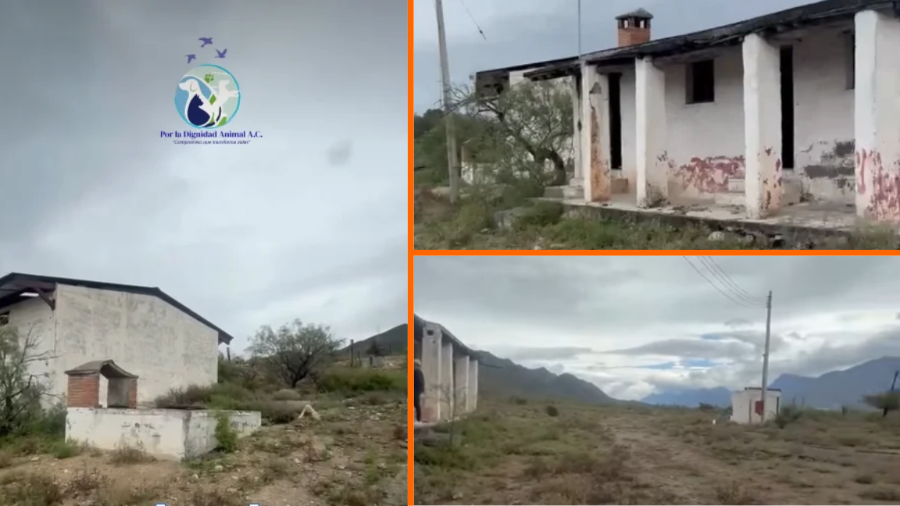 La organización presentó imágenes del terreno donde se contempla desarrollar las instalaciones