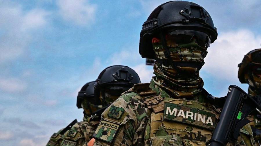 Tras el hallazgo, la droga fue asegurada y puesta a disposición de las autoridades competentes .