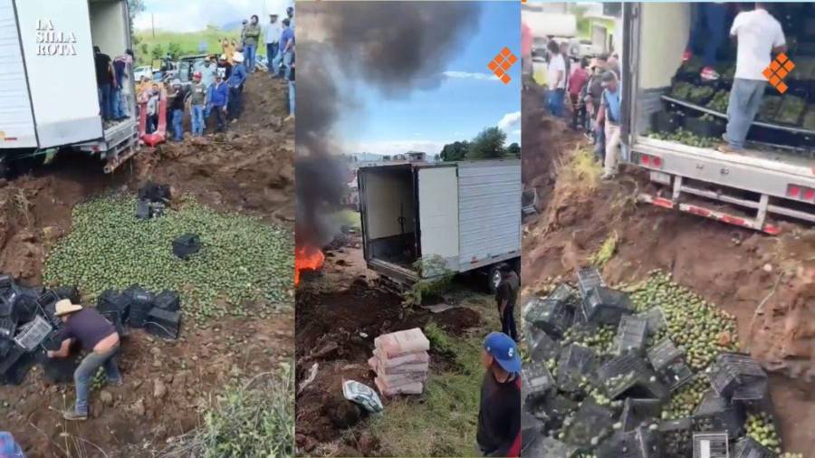 Queman 52 toneladas de aguacate en Michoacán por plaga.