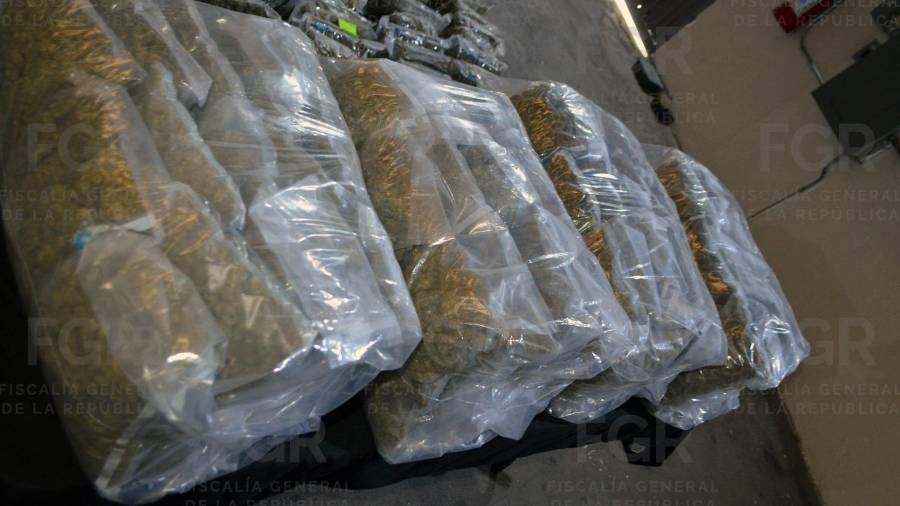 El caso se originó a partir de una denuncia ciudadana que alertó a las autoridades federales sobre el presunto traslado de droga a bordo de un vehículo de carga.