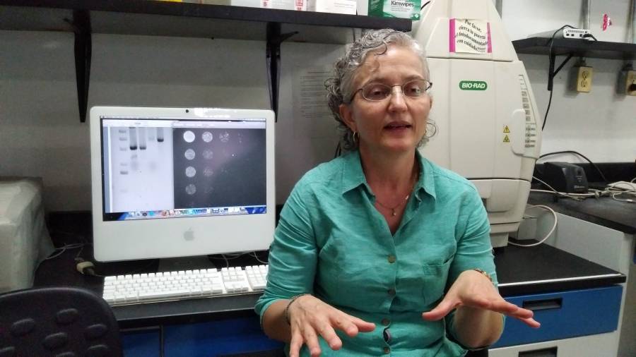 Científicos mexicanos patentan método para diagnosticar infección sanguínea