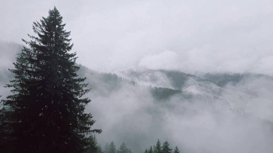 El SMN alertó por vientos intensos, oleaje elevado y heladas en distintas regiones de México debido a la interacción de varios sistemas atmosféricos.