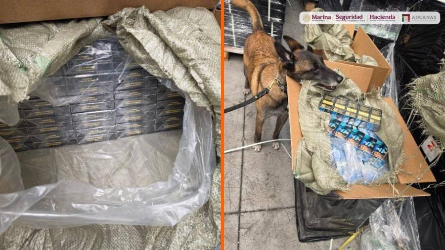 Autoridades aseguraron 5.4 millones de cigarros Pall Mall en el AICM, ocultos en dos embarques procedentes de Singapur que fueron declarados como bocinas y básculas.