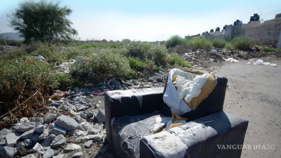 La protección al medio ambiente se privilegia en esta Ley de Ingresos de Saltillo para el próximo año.