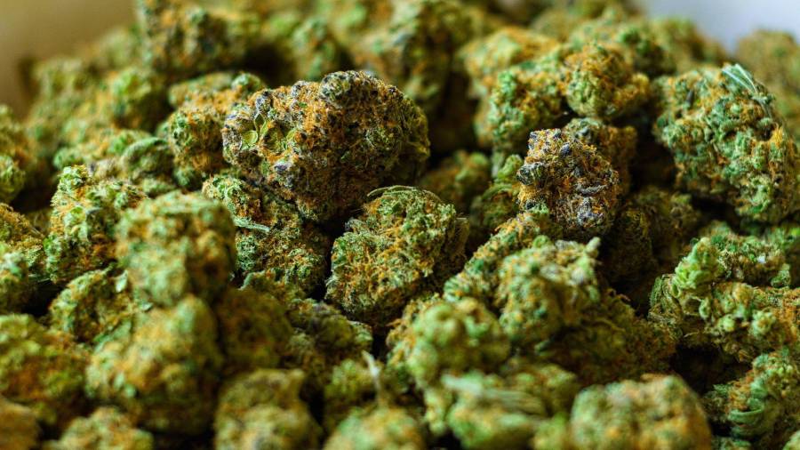 La mariguana en Saltillo se ofrece a precios que superan los mil pesos por frasco de cinco gramos, a diferencia de los 3.43 dólares por gramo en Colorado.