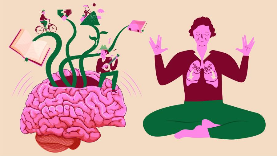 Con la edad se pierde las capacidades cognitivas, pero esto se debe más a que dejamos de usar nuestro cerebro.