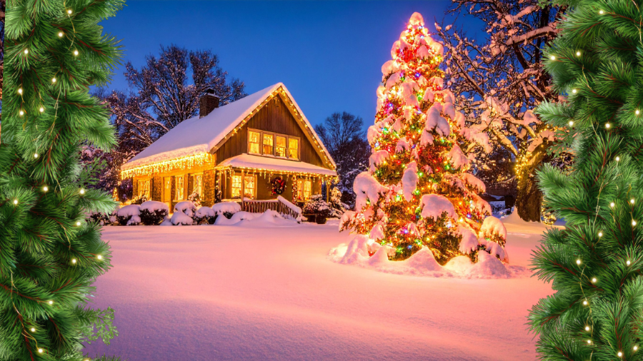 Profeco: los mejores reguladores y multicontactos para las fiestas de diciembre