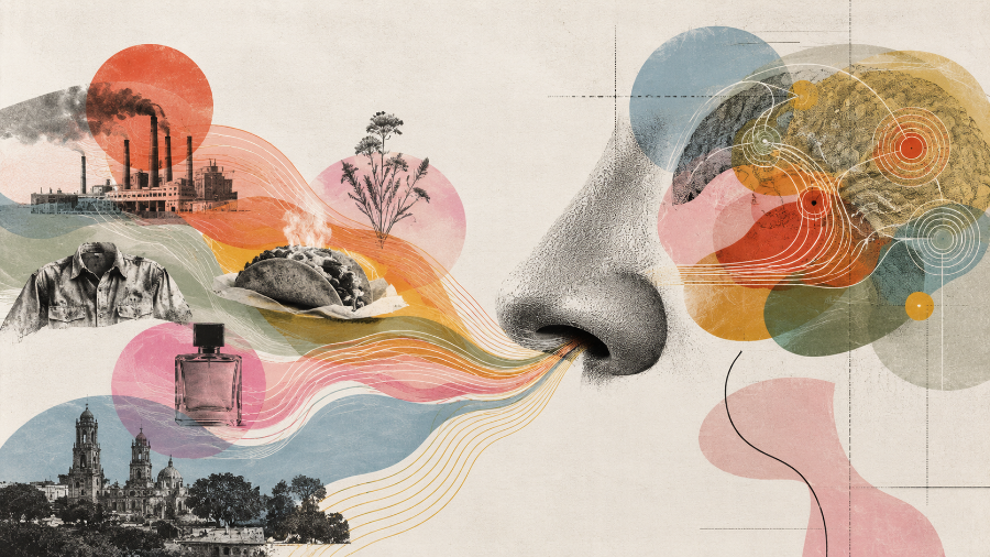 La ciudad también entra por la nariz: trabajo, comida, perfume, humo y memoria se mezclan en una cartografía invisible donde cada olor puede convertirse en rastro, recuerdo o prejuicio.