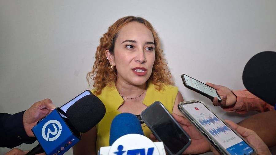 Martha Herrera señaló que la omisión de cuidados sigue siendo la principal problemática que atiende Pronnif en la Región Centro.